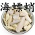海螵蛸中药材乌贼骨墨鱼骨海蛸各种规格保质保量批发零售
