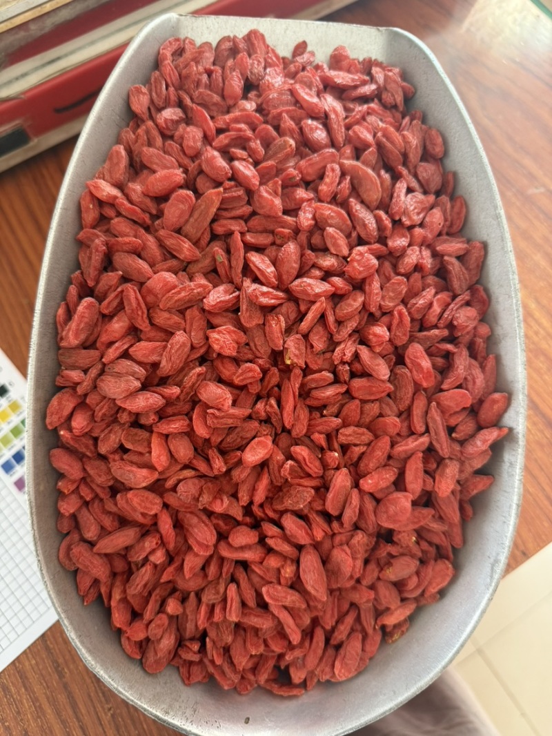 宁夏红枸杞规格齐全颗粒饱满天热不粘一手货源