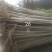 速生杨杨树苗大量供应，地头装车，无病无菌。