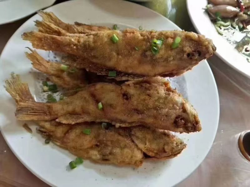 虎头红石斑鱼，可供全国各地的高端餐饮连锁店商超电商日料店