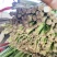 精品头茬韭菜大量现货。
