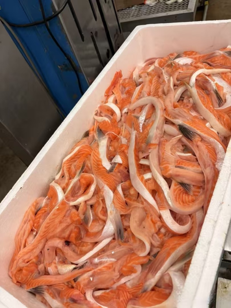 英国三文鱼鱼腩，品质上乘，欢迎全国各地客商前来洽谈合作的