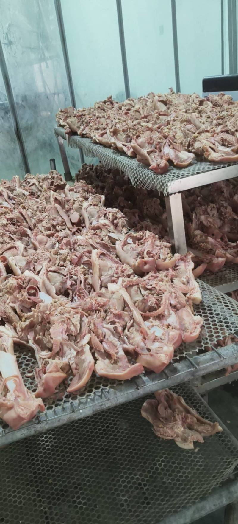 半成品猪头肉