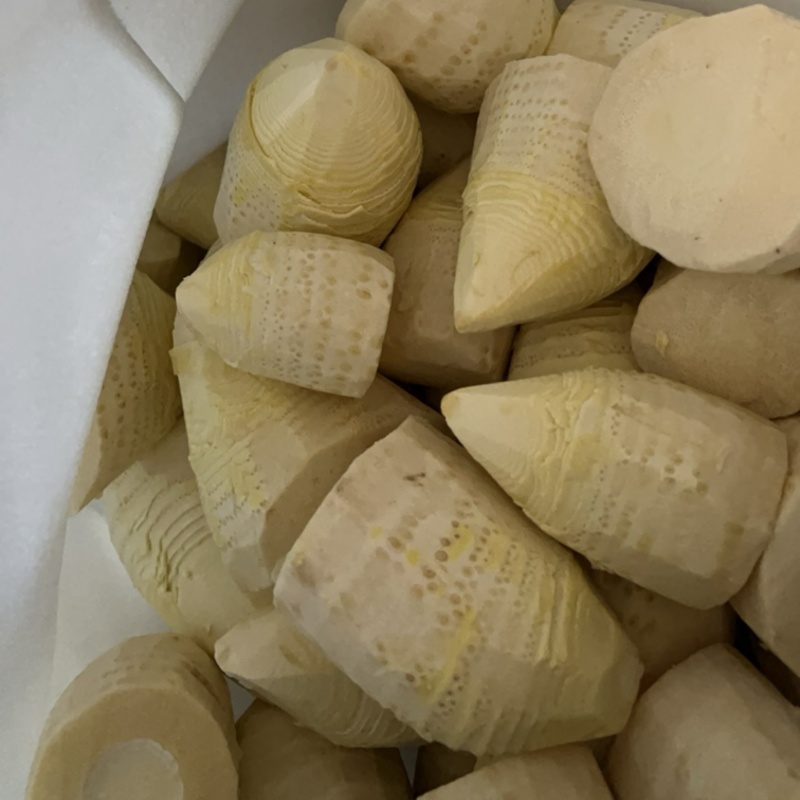 野生春笋肉，欢迎老板订购