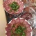 【卤味】酱香肉