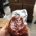 【卤味】酱香肉