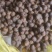 个人自种广西马蹄（13-16个头一斤）