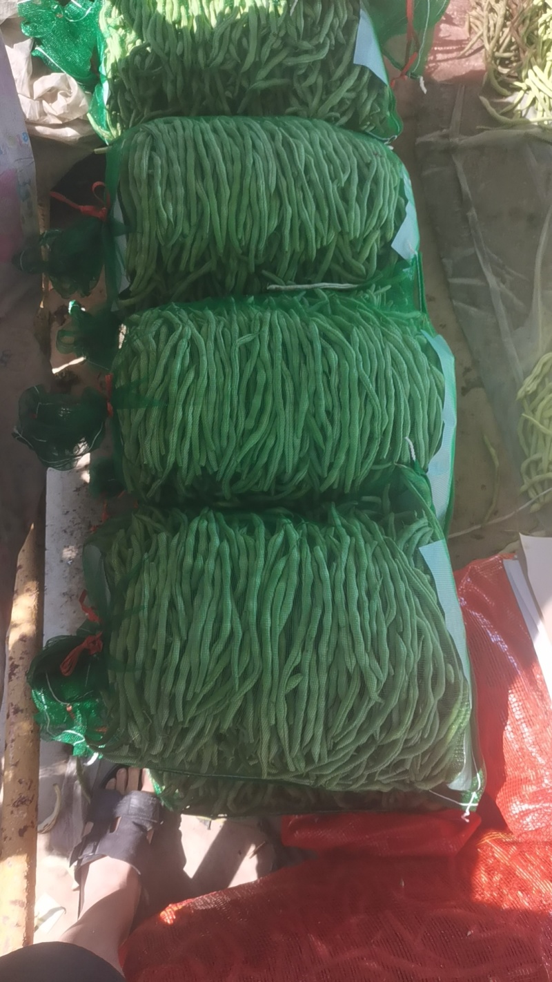 无丝豆豆王！
