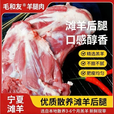 毛和友®羊腿肉/原切去骨羊肉/滩羊后腿肉/厂家直发
