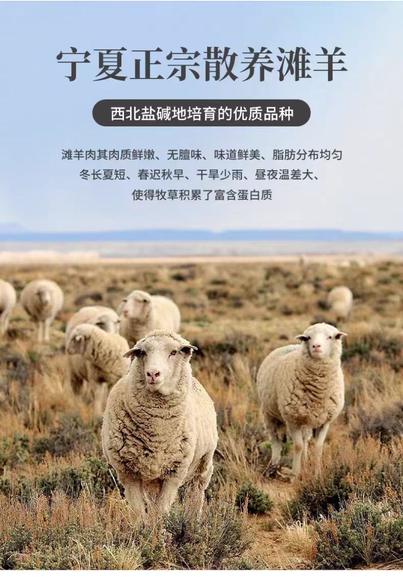 毛和友®羊腿肉/原切去骨羊肉/滩羊后腿肉/厂家直发