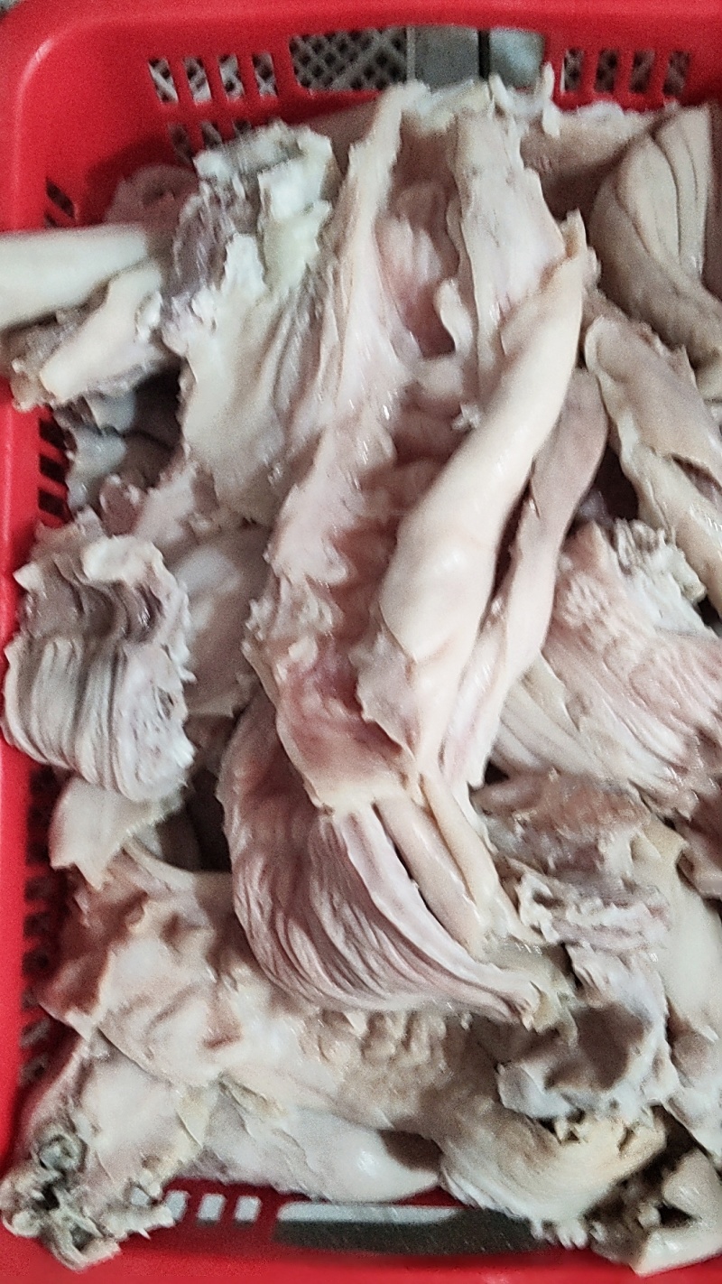 【预煮大猪花肠头，脆肚，猪碗口，猪欢喜，猪杂牛杂熟食地摊