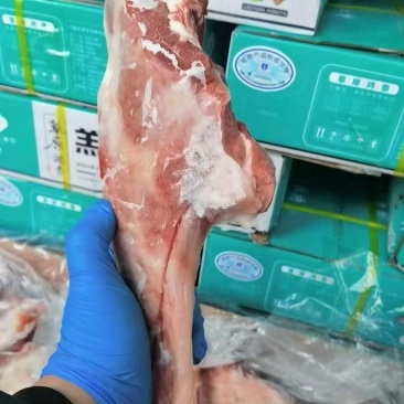 羊小腿