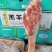 羊小腿