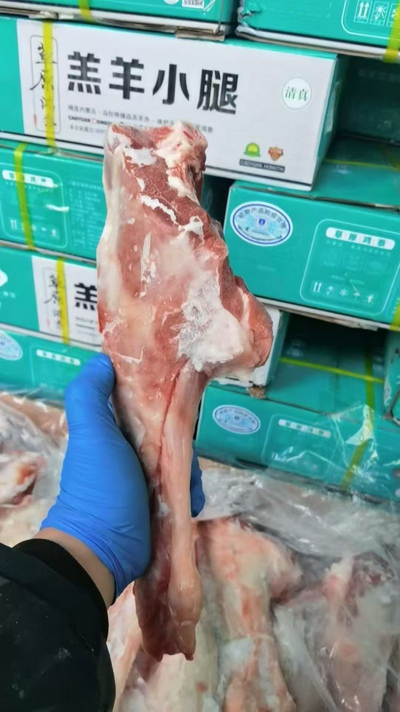 羊小腿
