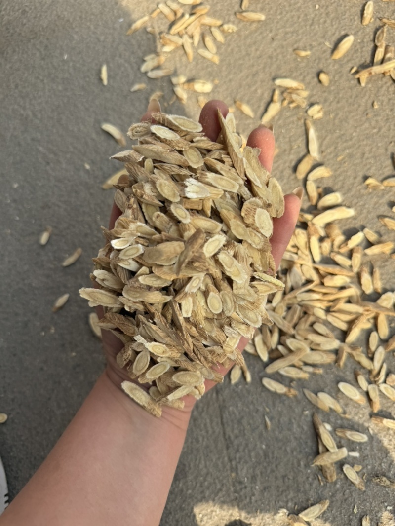黄芪切片瓜子片甘肃黄芪多种规格产地直供