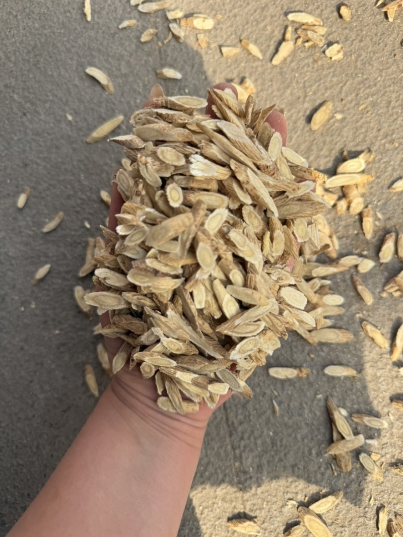 黄芪切片瓜子片甘肃黄芪多种规格产地直供