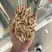 黄芪切片瓜子片甘肃黄芪多种规格产地直供