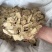 黄芪切片瓜子片甘肃黄芪多种规格产地直供