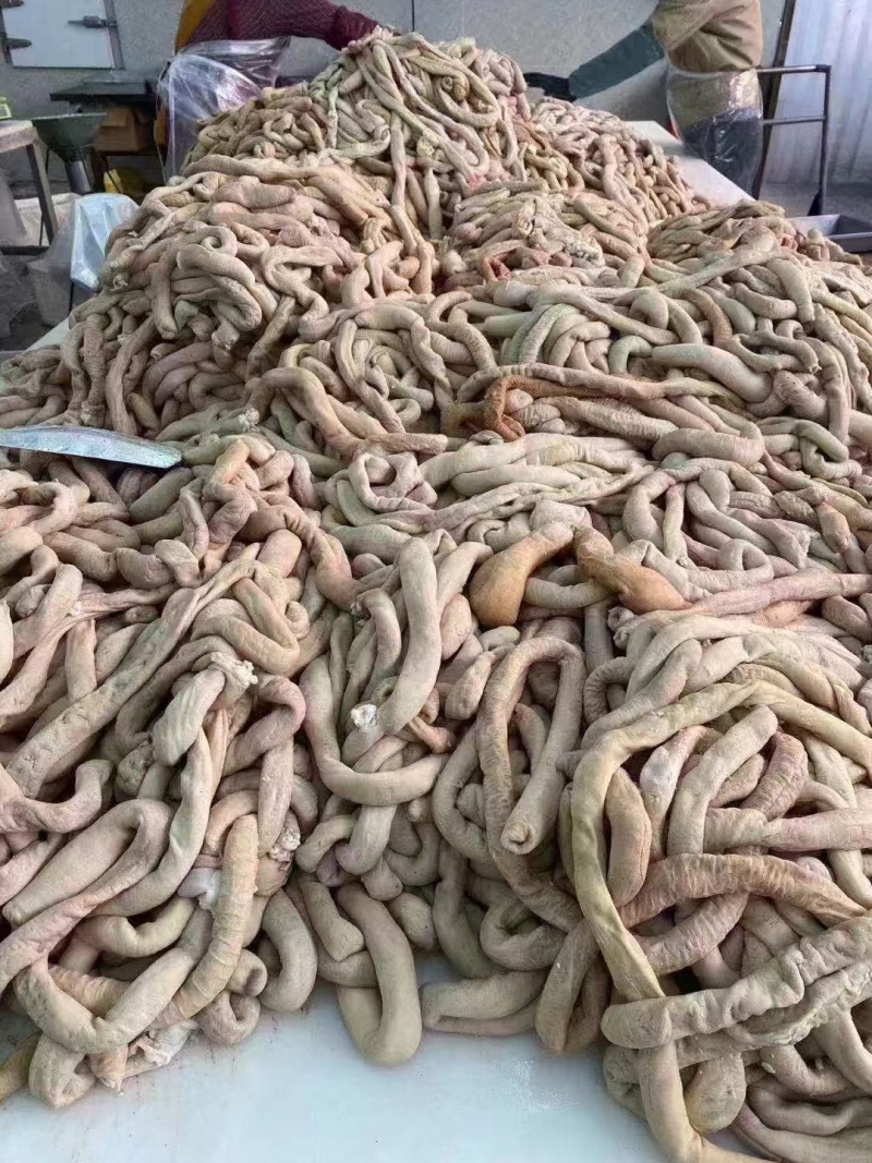 腾翔精品牛小肠