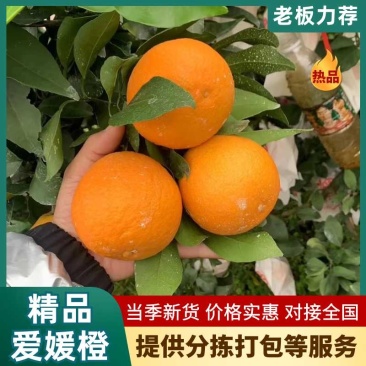爱媛橙38大量上市，对接电商，市场，社团，商超