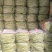白不老芸豆产地直销量大质优价格优惠欢迎咨询采购