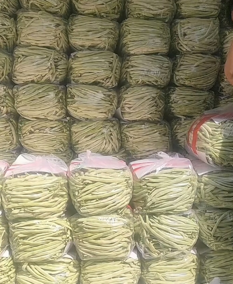 白不老芸豆产地直销量大质优价格优惠欢迎咨询采购