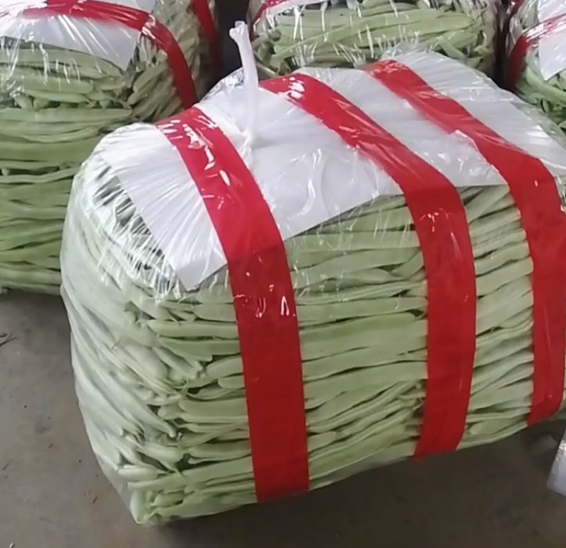 白不老芸豆产地直销量大质优价格优惠欢迎咨询采购