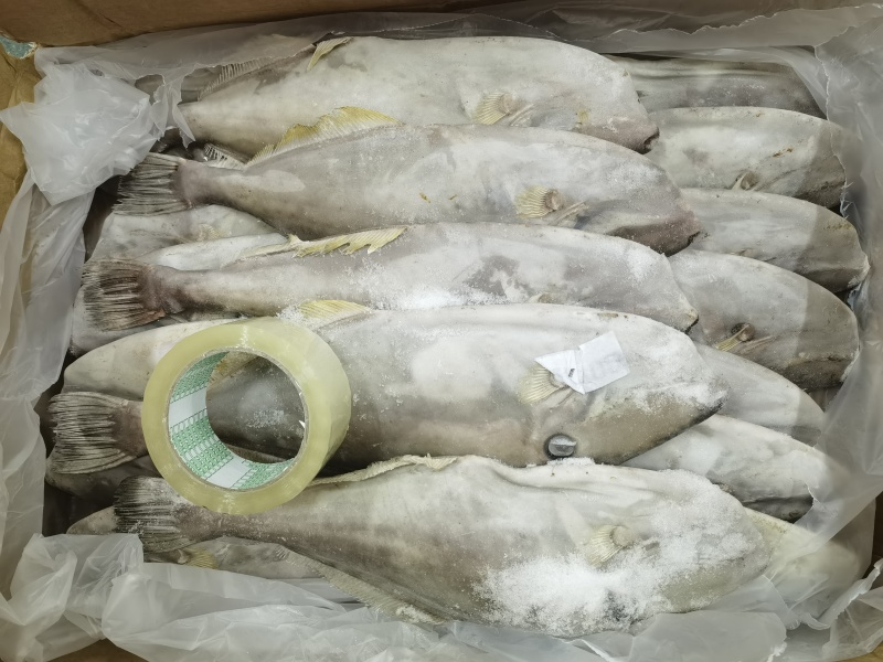 1.印尼阿曼马面鱼带关单检疫可溯源，长期有现货