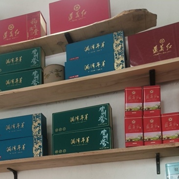 小叶苦丁