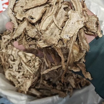 甘肃当归中药材全国发货货源充足可视频看货订货欢迎下单