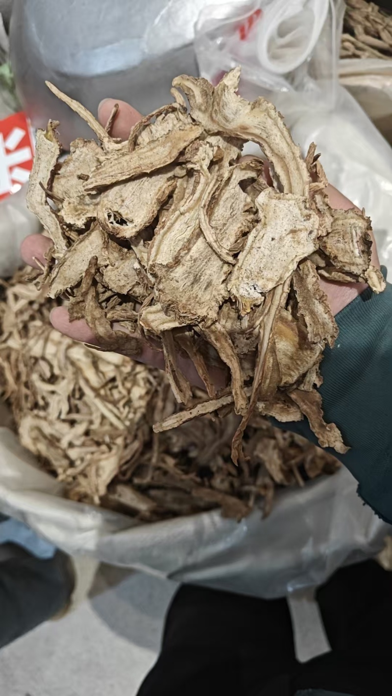 甘肃当归中药材全国发货货源充足可视频看货订货欢迎下单