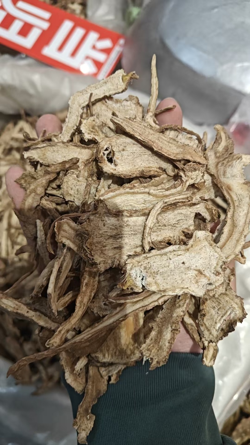 甘肃当归中药材全国发货货源充足可视频看货订货欢迎下单