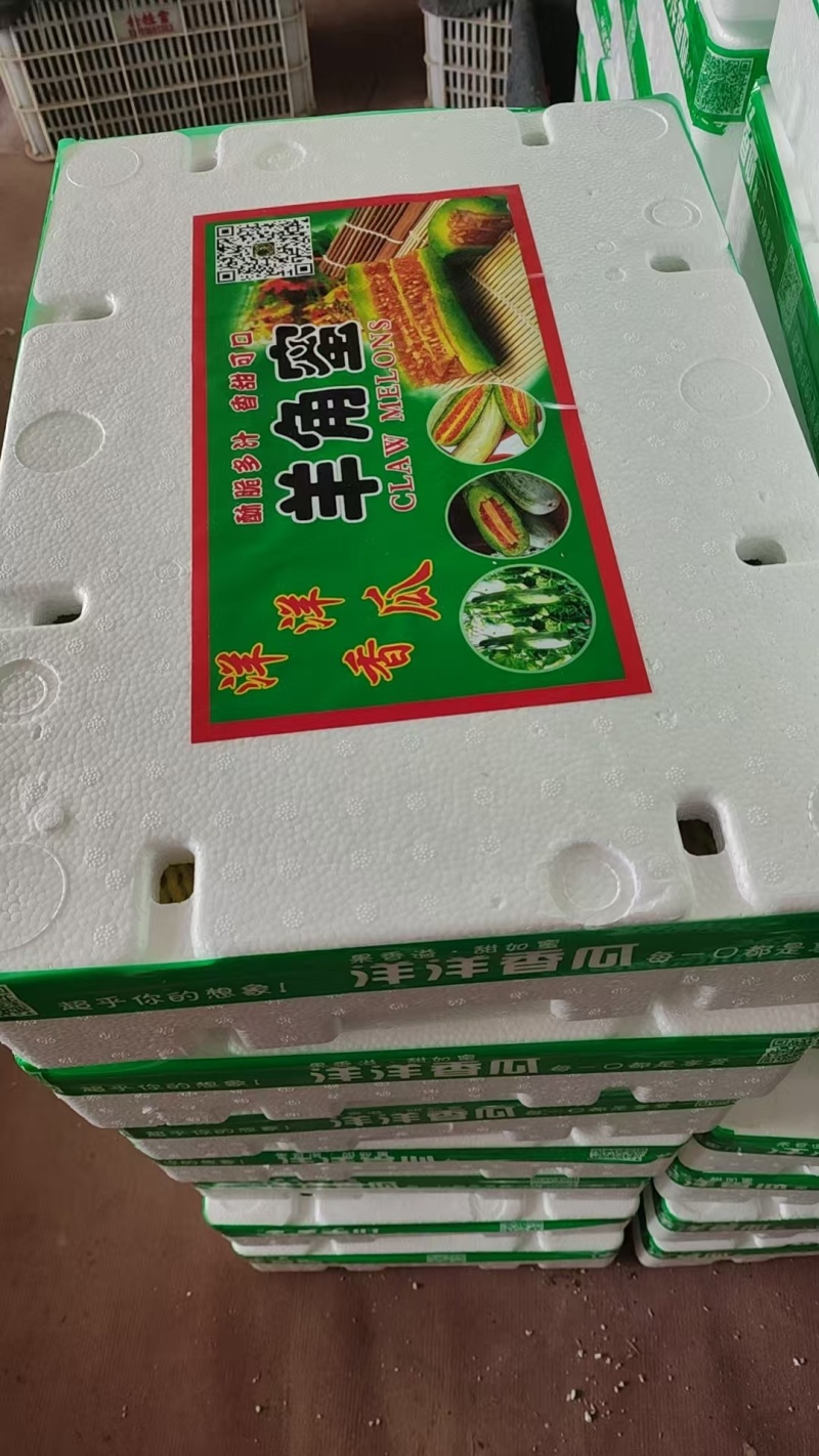 包邮山东羊角蜜电商一件代发，支持全平台代发，价格美丽