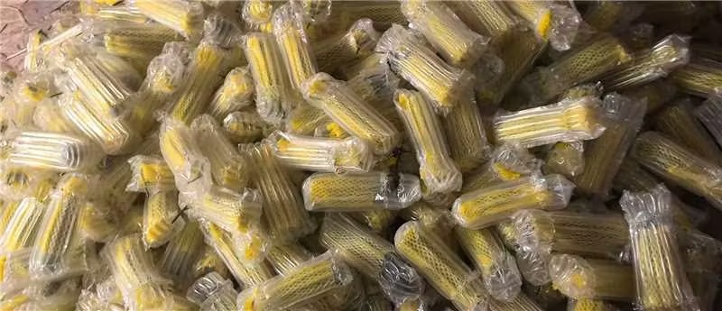 包邮山东羊角蜜电商一件代发，支持全平台代发，价格美丽