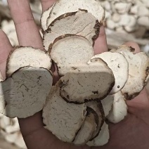 云南重楼中药材产地直发货源充足可视频看货欢迎致电