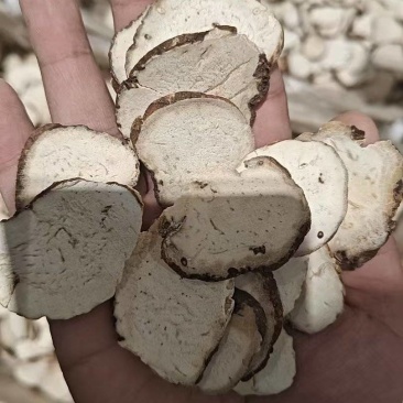 云南重楼中药材产地直发货源充足可视频看货欢迎致电