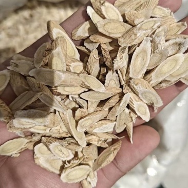甘肃黄芪中药材产地直发货源充足价格优惠可视频看货欢迎致电