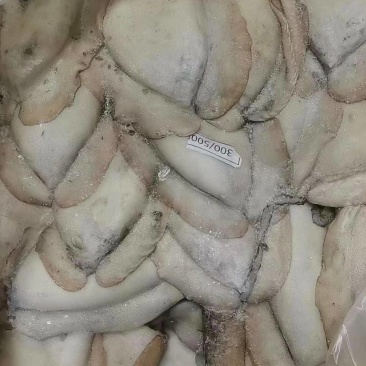 塞内加尔笼捕/网捕墨鱼，一手货源多仓发货，长期稳定现货