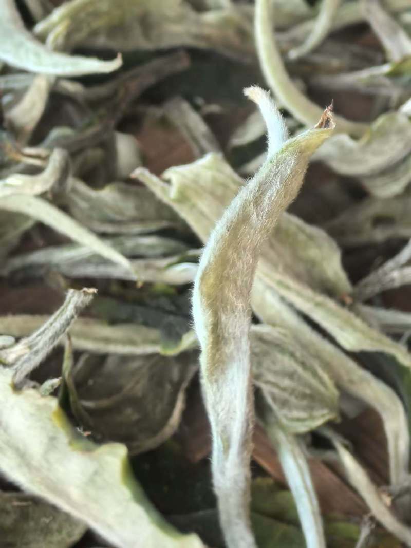 月光白
