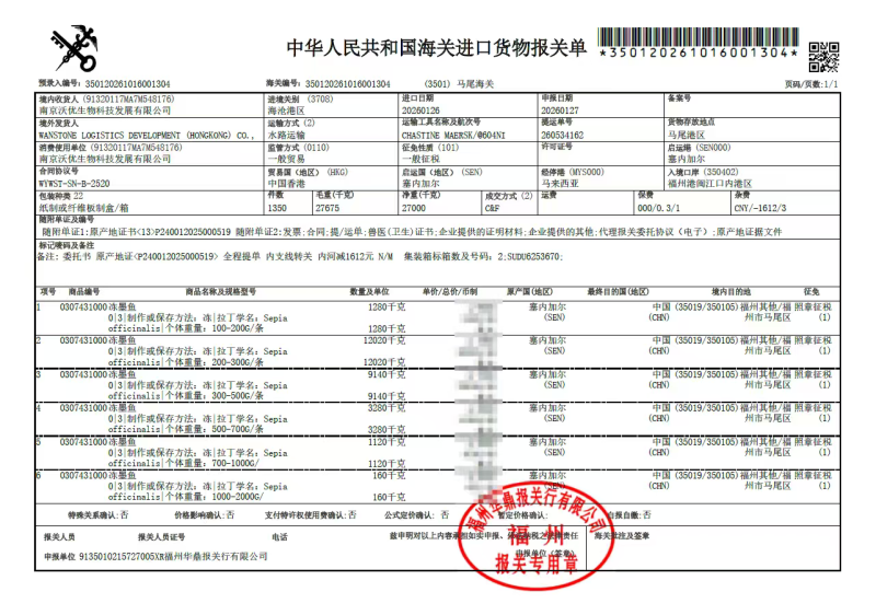 塞内加尔笼捕/网捕墨鱼，一手货源多仓发货，长期稳定现货
