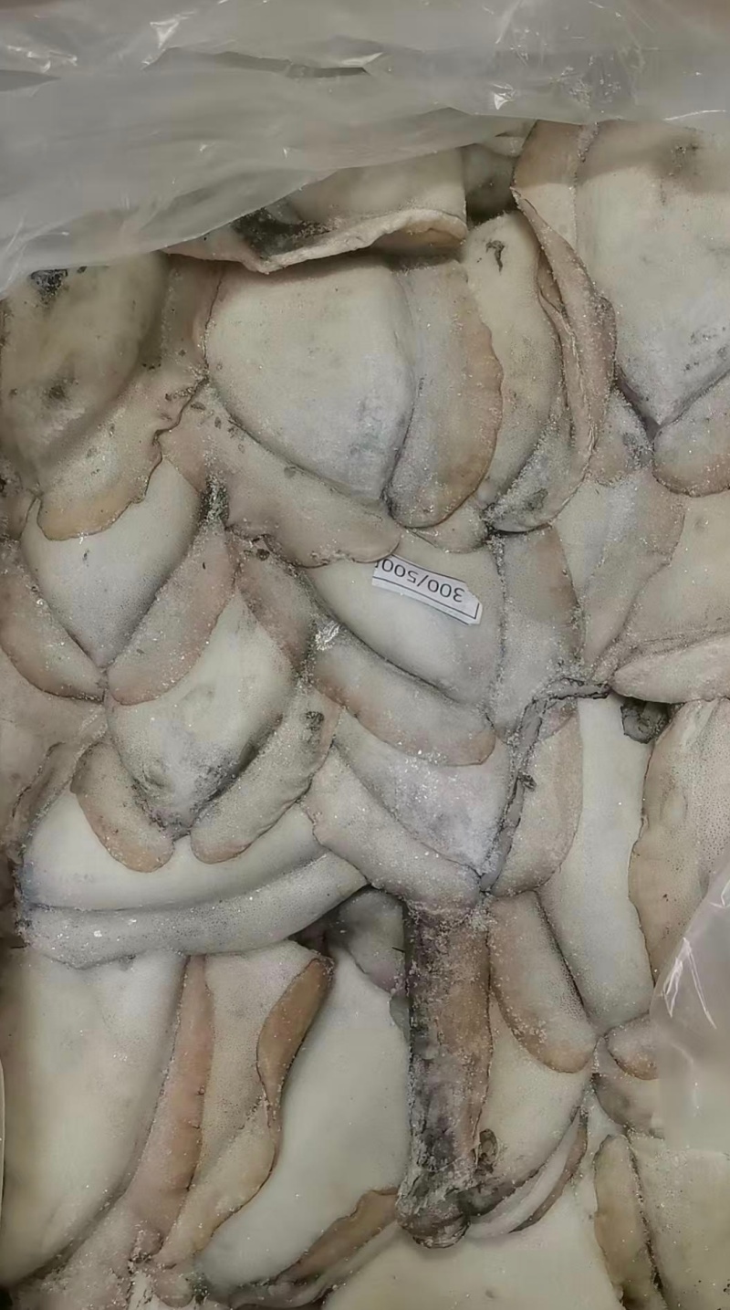 塞内加尔笼捕/网捕墨鱼，一手货源多仓发货，长期稳定现货