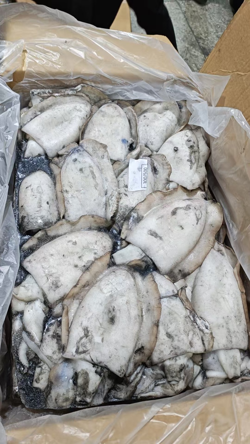 塞内加尔笼捕/网捕墨鱼，一手货源多仓发货，长期稳定现货