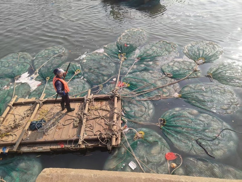 精品珊瑚海蜇丝一手货源常年供应全国发货可视频看货