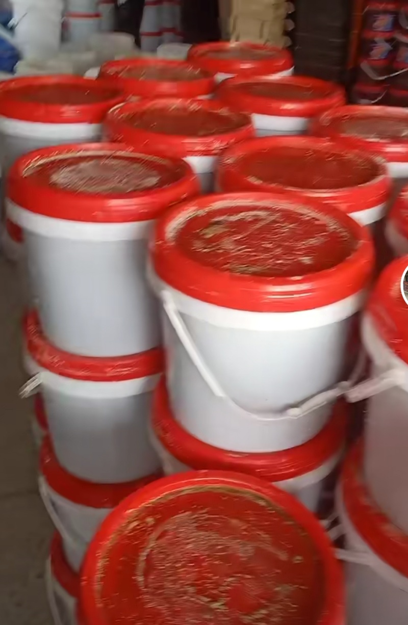 精品珊瑚海蜇丝一手货源常年供应全国发货可视频看货