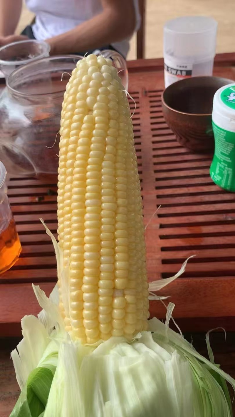 广西鲜食玉米，甜玉米，产地一手货源