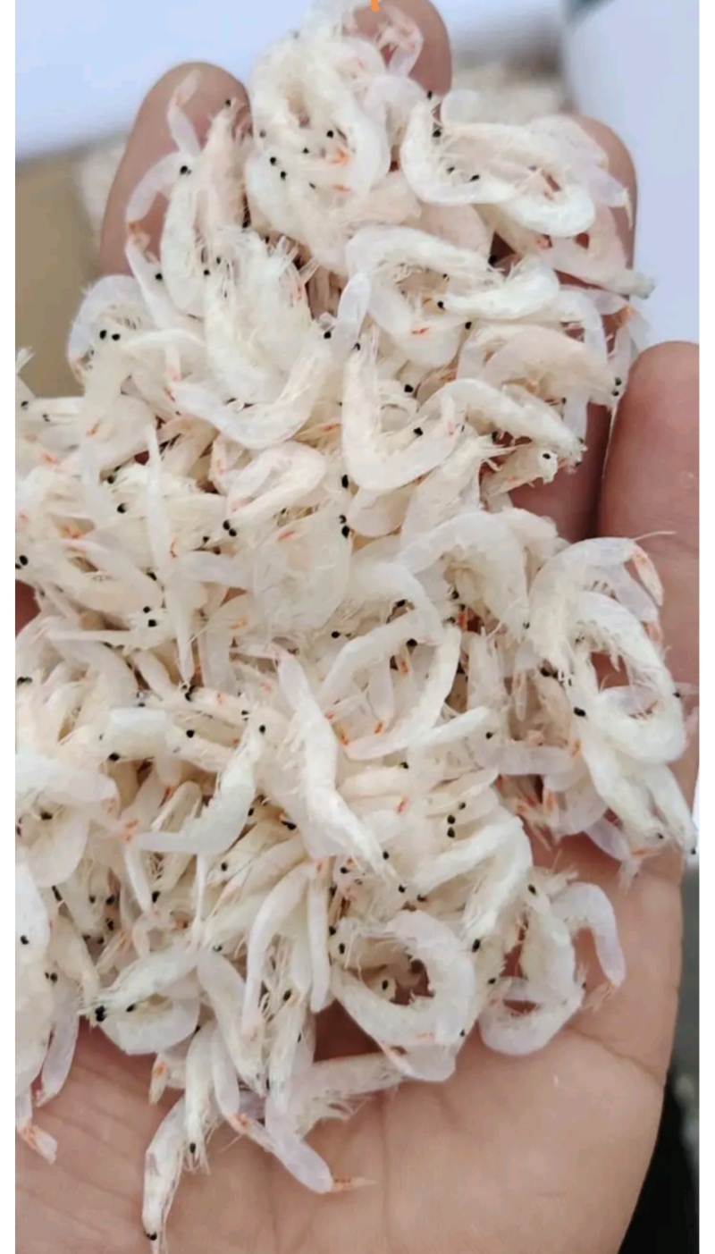 虾皮赤尾青低盐调料级虾皮源头企业直销资质齐全