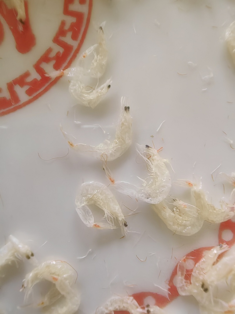虾皮赤尾青低盐调料级虾皮源头企业直销资质齐全