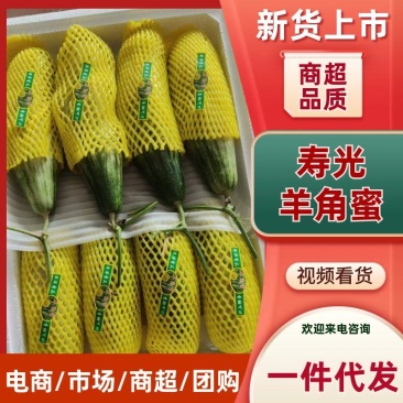山东潍坊寿光羊角蜜品质保证对接批发商超电商一件代发