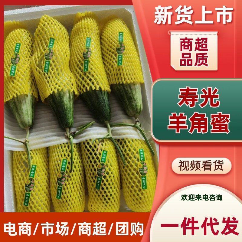 山东潍坊寿光羊角蜜品质保证对接批发商超电商一件代发
