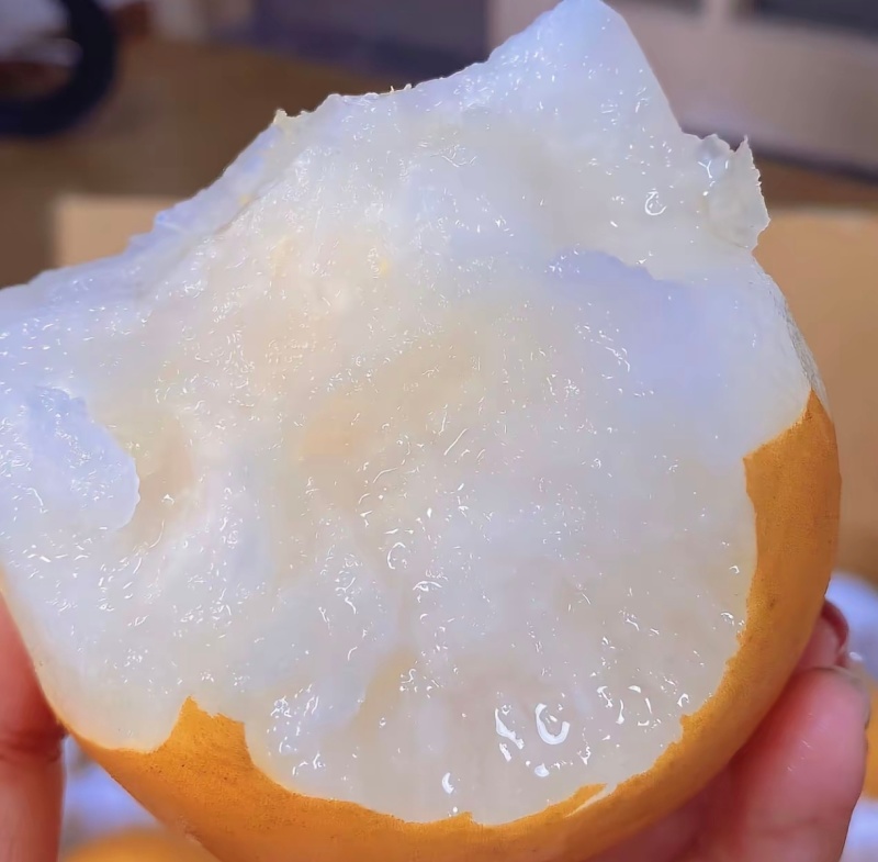 秋月梨山东秋月梨甘甜化渣高糖度清脆可口规格